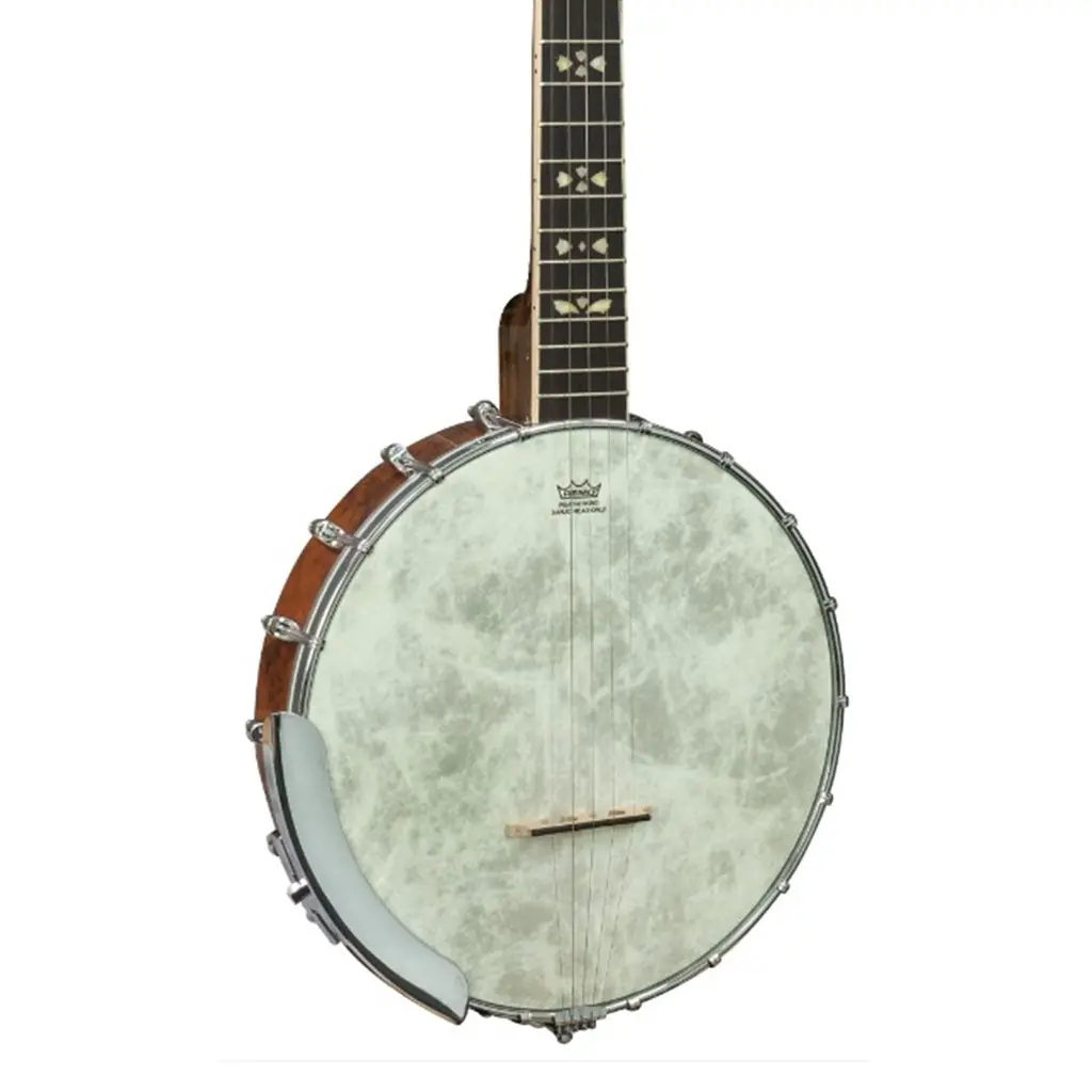 Barnes & Mullins Albert Open Back Banjo 1