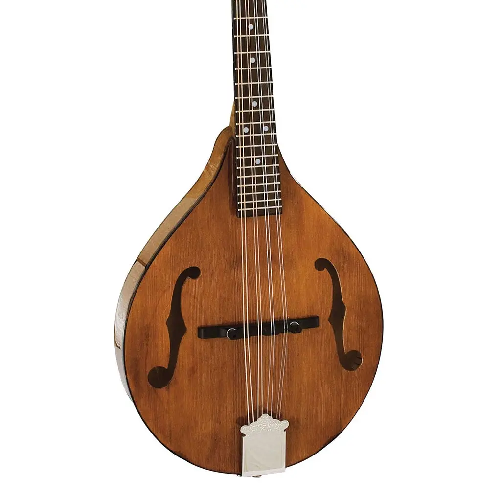 Barnes & Mullins Wimborne Mandolin 1