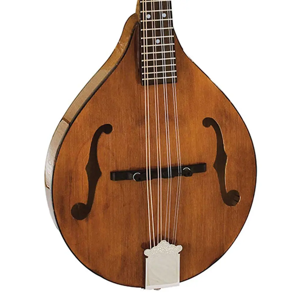 Barnes & Mullins Bm600e - Wimborne Mandolin With Pick Up 1