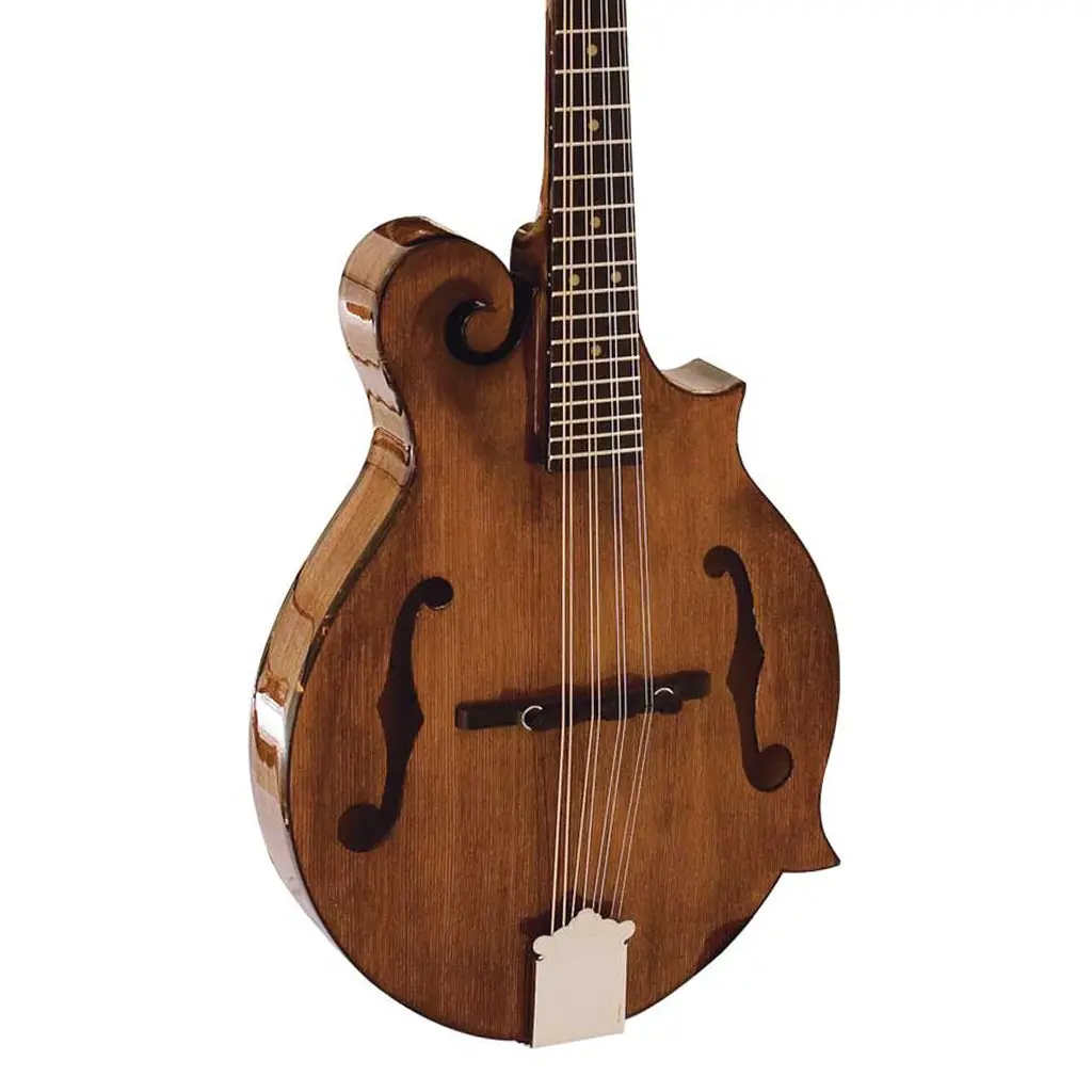 Barnes & Mullins Salvino Mandolin 1