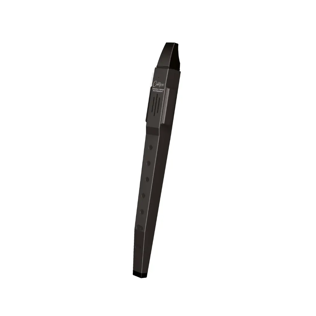 Blackstar Carry-On Digital Wind Instrument Wth Midi - Black 1
