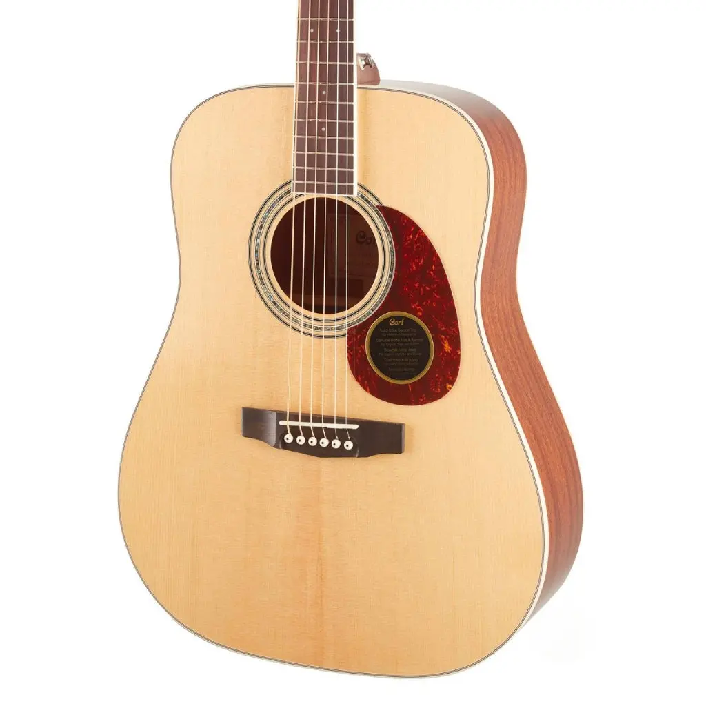 Cort Earth 100 Nat Dreadnought Guitar 1