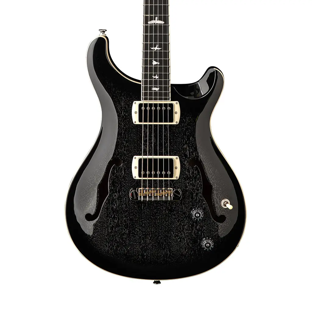 Prs Se Hollowbody Standard - Dog Hair Smokeburst 1