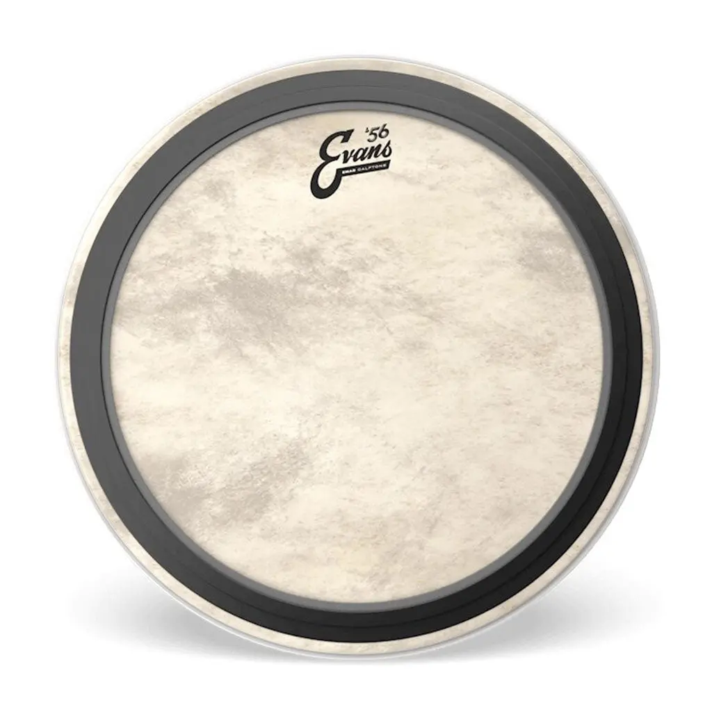 Evans 20" Emad Batter Calftone 1