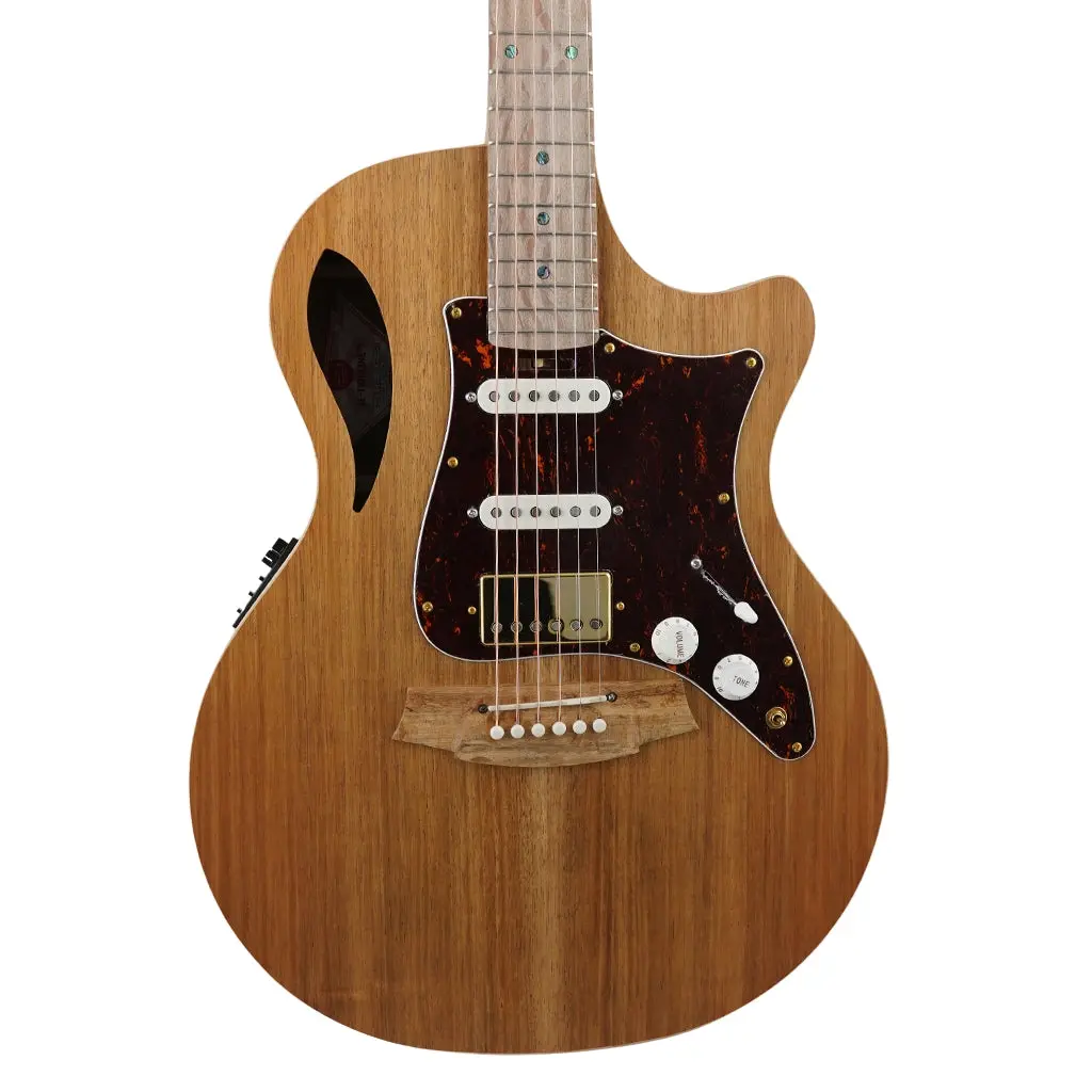 Cole Clark Tl2ec All Blackwood Hss 1