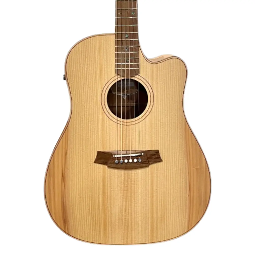 Cole Clark Fl2ec Bunya Maple 1