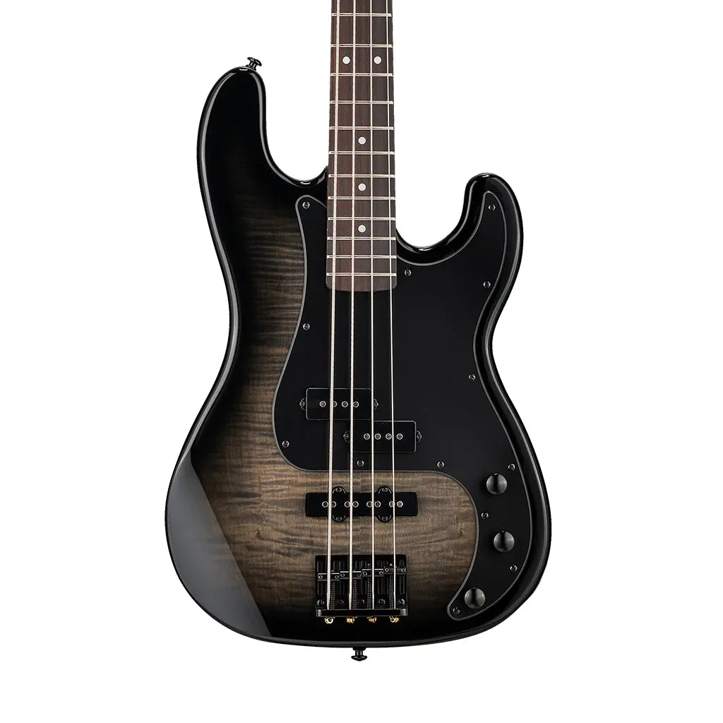 Esp Ltd Surveyor 204 Bass Guitar - Black Burst 1