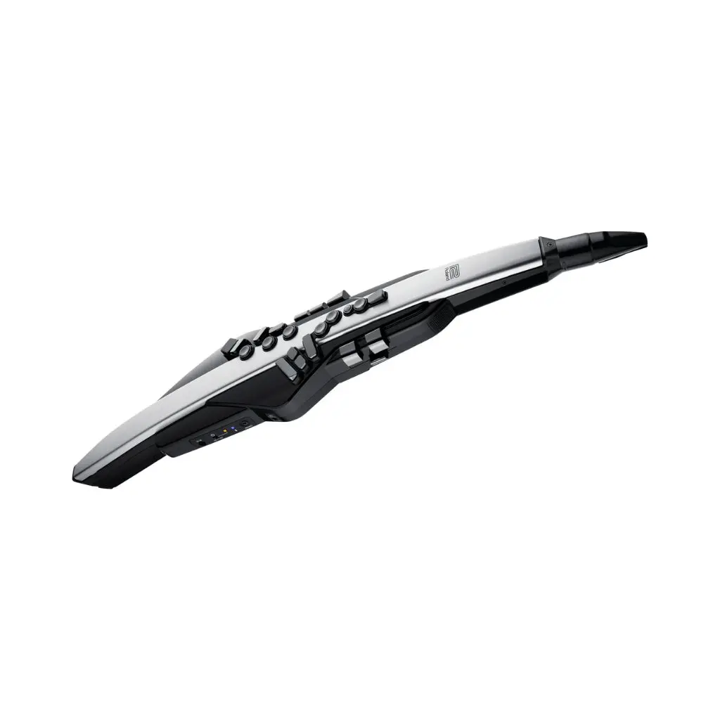 Roland Aerophone Pro Ae-30 Digital Wind Instrument - Silver 1