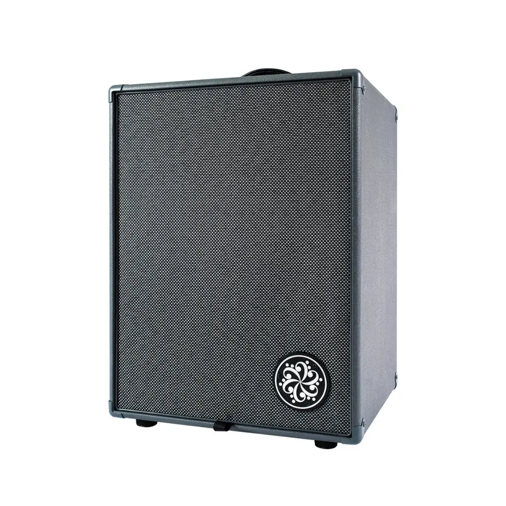 Darkglass Infinity 500 Watt Bass Combo 2 X 10" 2