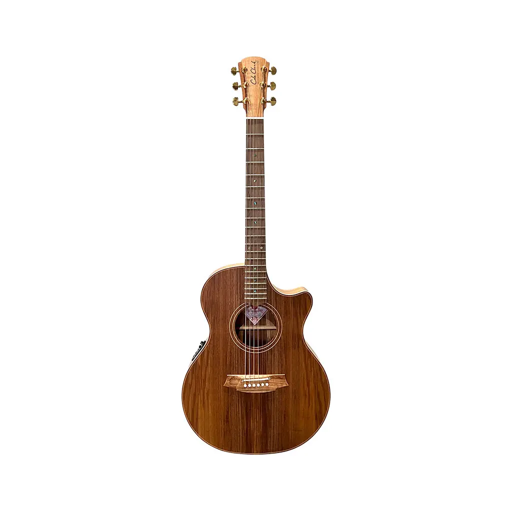 Cole Clark Thinline Grand Auditorium Acoustic/Electric - All Blackwood 2