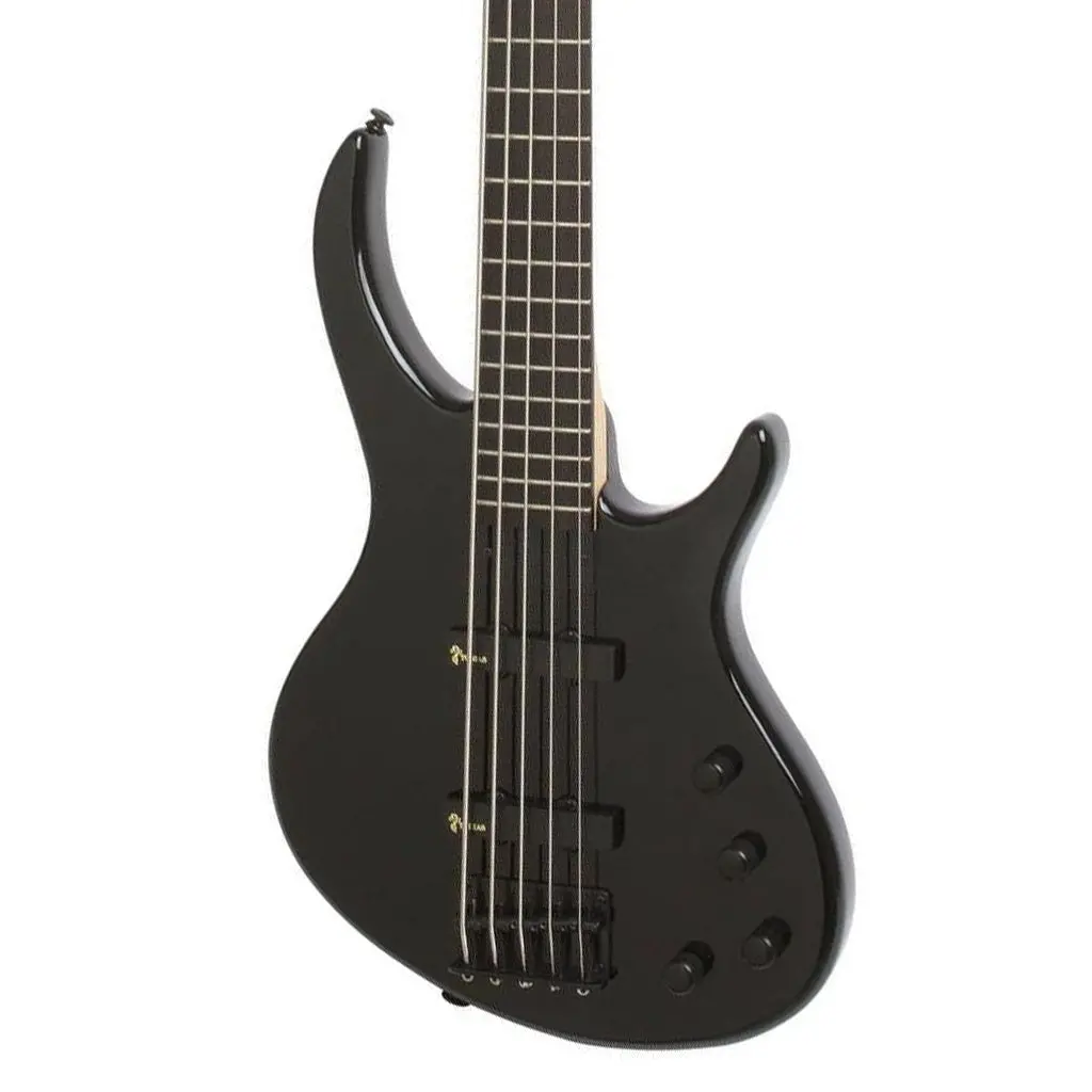 Epiphone Toby Deluxe-V Bass-Ebony Gloss 5 String 1