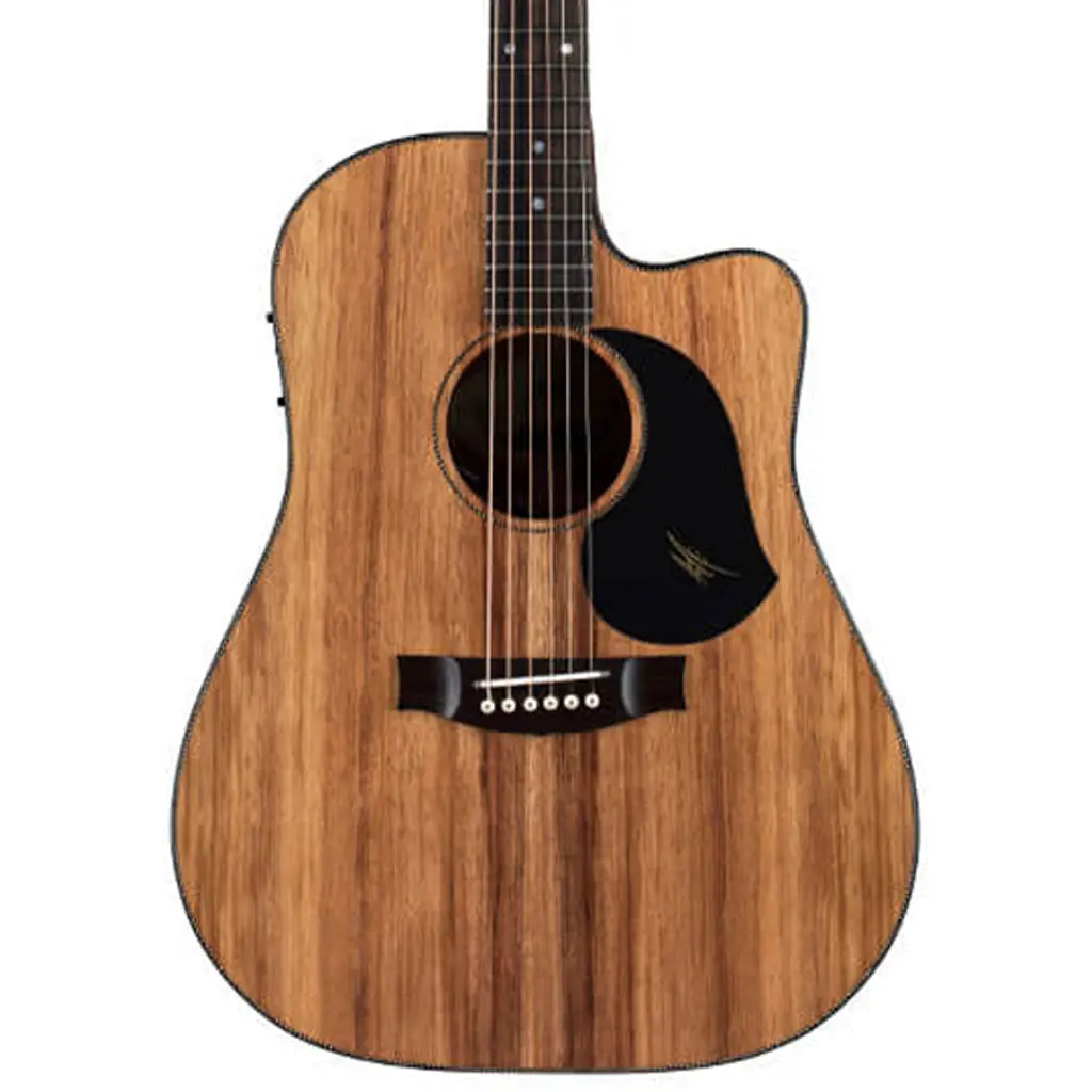 Maton Ebw70c Blackwood Acoustic Guitar 1