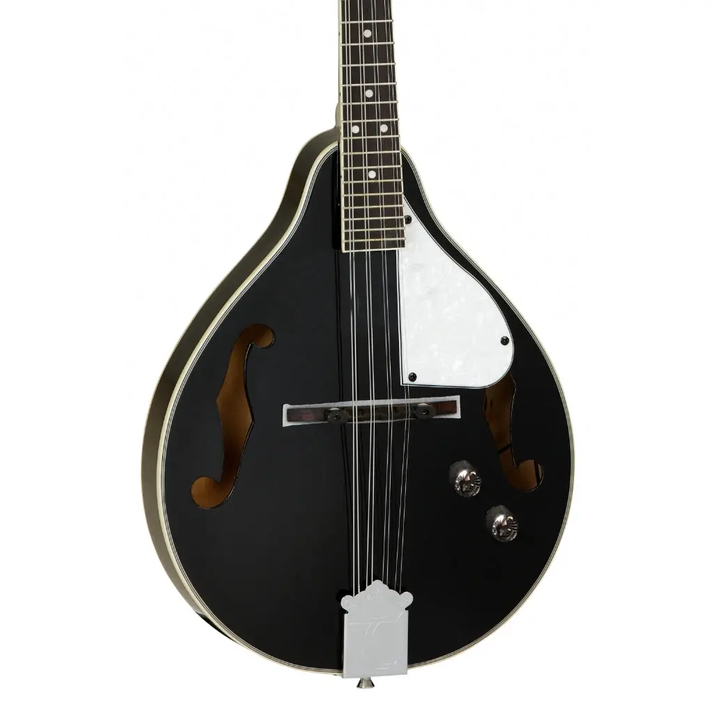 Tanglewood Twmtbkpe Union Series Mandolin - Black 1