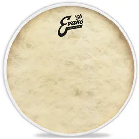 Evans 18" Calftone 1