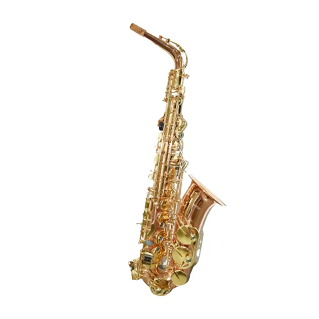 Knight - Sas1010l Alto Saxophone 1