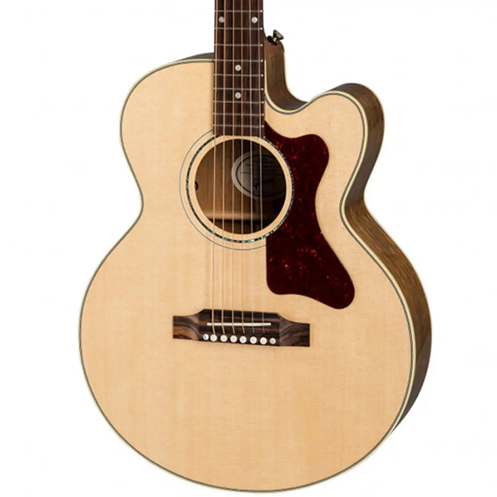 Gibson Parlour Ag - Antique Natural 1