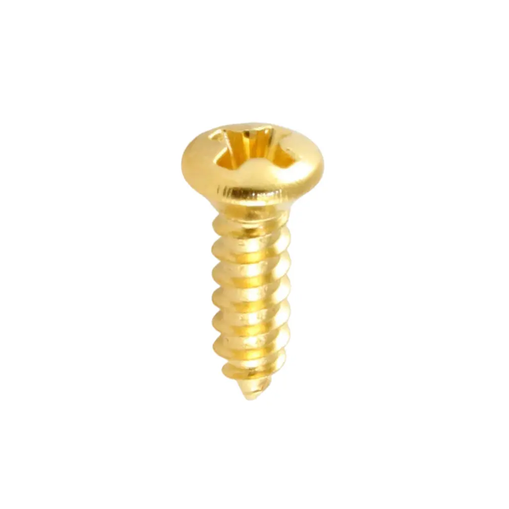 Ams - Gold Scratchplate Screws 1