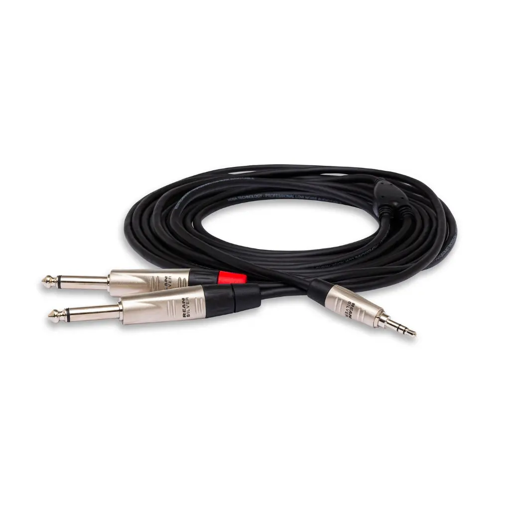 Hosa Technology Rean 3.5 Mm Trs To Dual 1/4 In Ts Pro Stereo Breakout Cable 3Ft 1