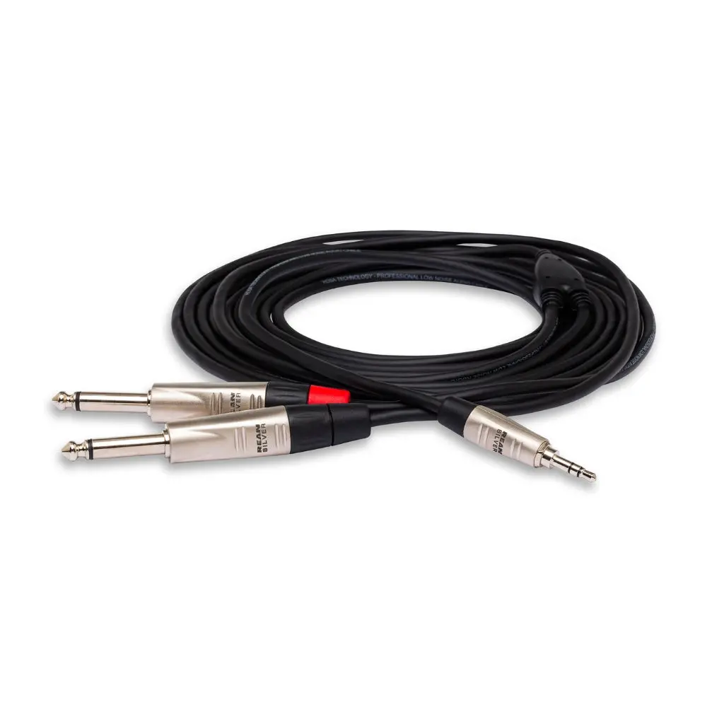 Hosa Technology Rean 3.5 Mm Trs To Dual 1/4 In Ts Pro Stereo Breakout Cable 6Ft 1