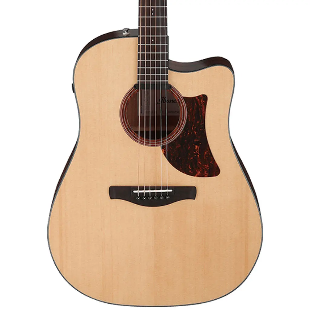 Ibanez Aad170ce Acoustic Guitar 1