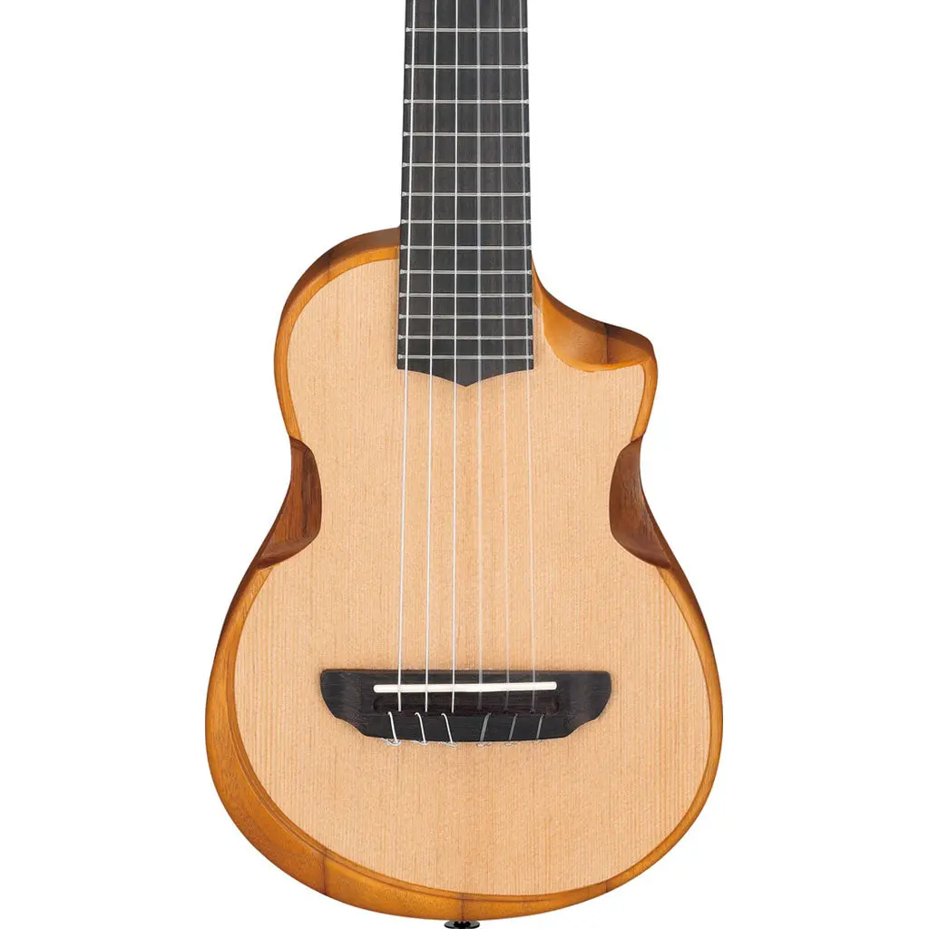 Ibanez Aup10nopn Ukulele Open Pore Natural 1
