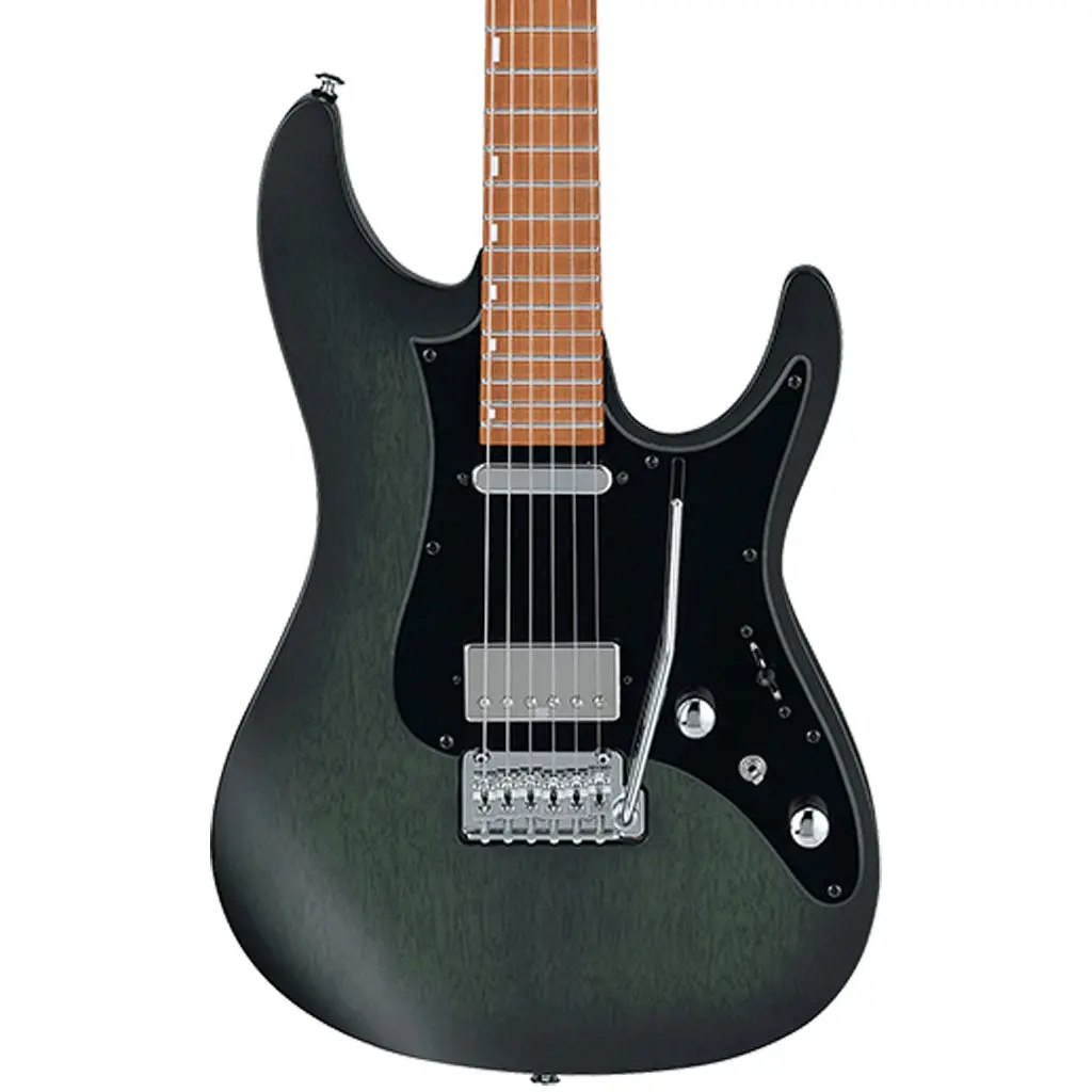Ibanez Eh10 Tgm Erick Hansel Premium Electric Guitar W/ Bag 1