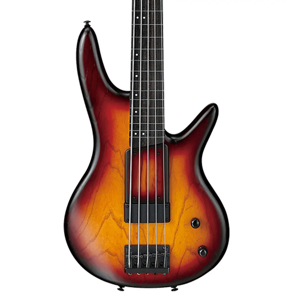 Ibanez Gwb205 Tqf Gary Willis Premium Electric 5-String Bass With Bag (Pgpbb) 1