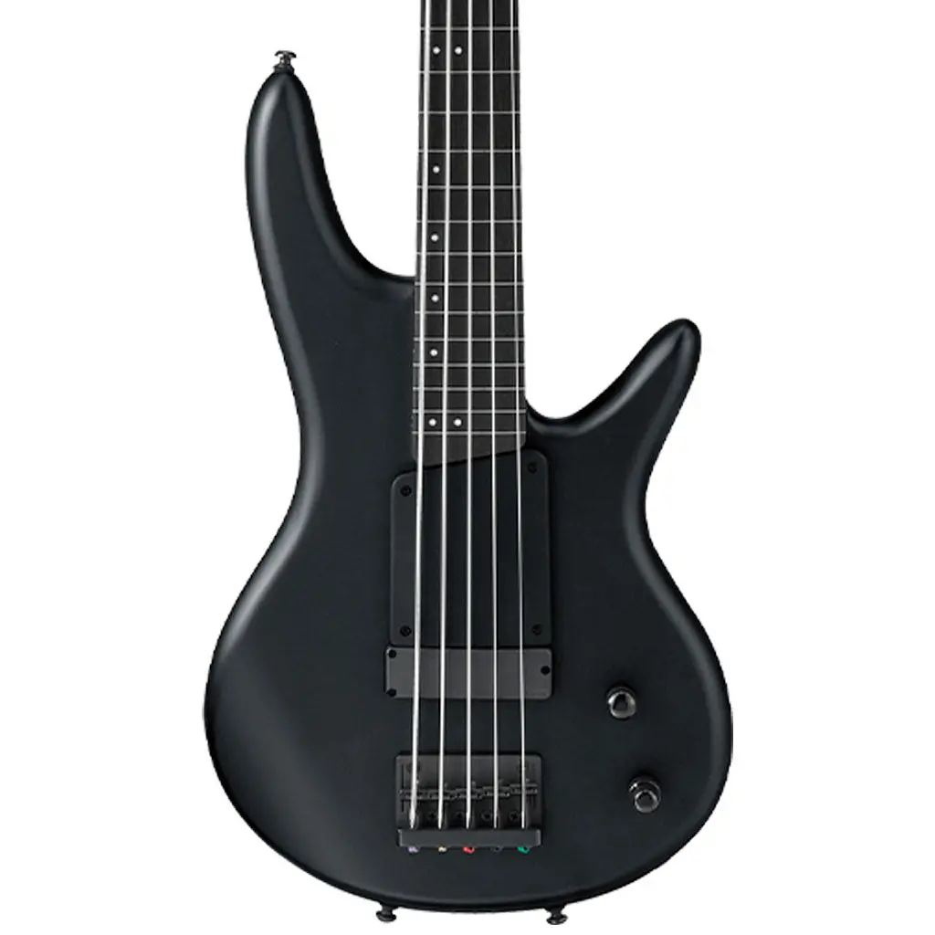 Ibanez Gwb35 Bkf Gary Willis Electric 5-String Bass 1