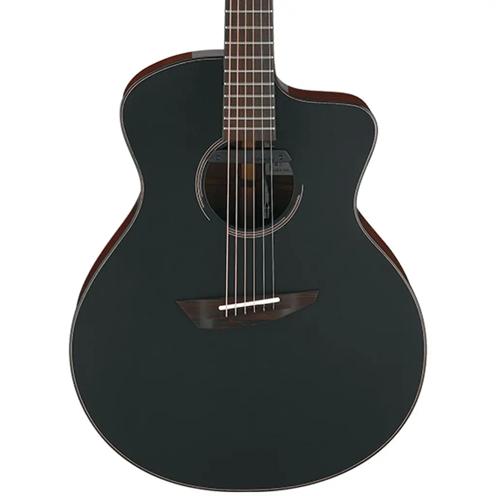 Ibanez Jgm10 Bsn Jon Gomm Acoustic Guitar W/Case 1