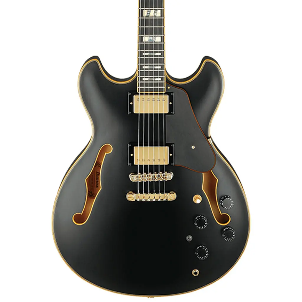 Ibanez Jsm20 Bkl John Scofield Electric Guitar W/ Case 1