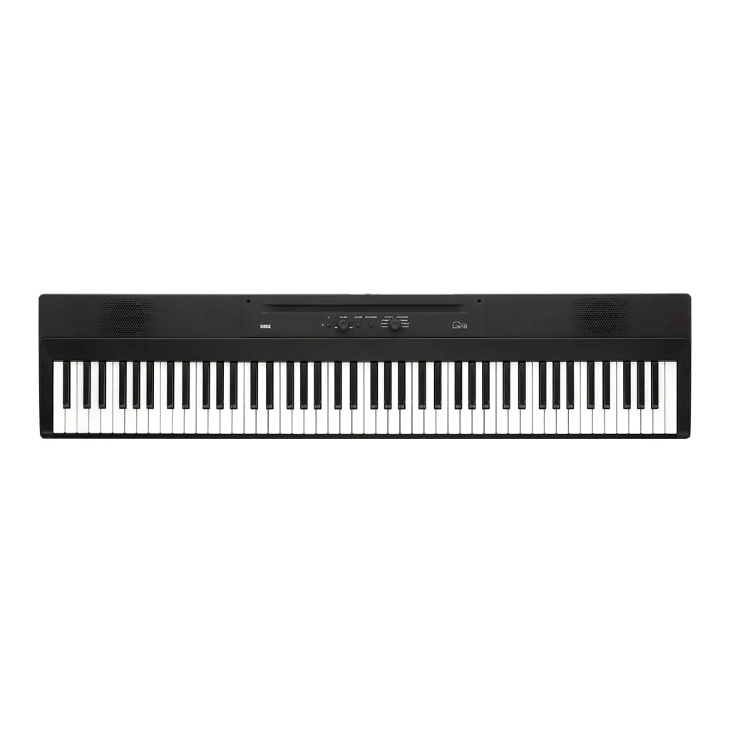 Korg Liano 88 Note Piano Black 1