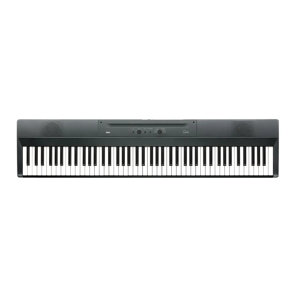 Korg L1 Liano 88 Note Piano - Metallic Gray 1