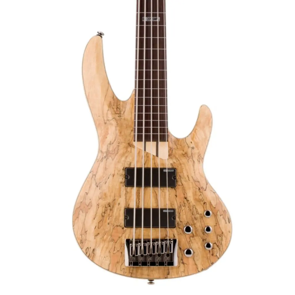Esp Ltd B-205Sm 5-String Fretless Bass Guitar - Natural Satin 1