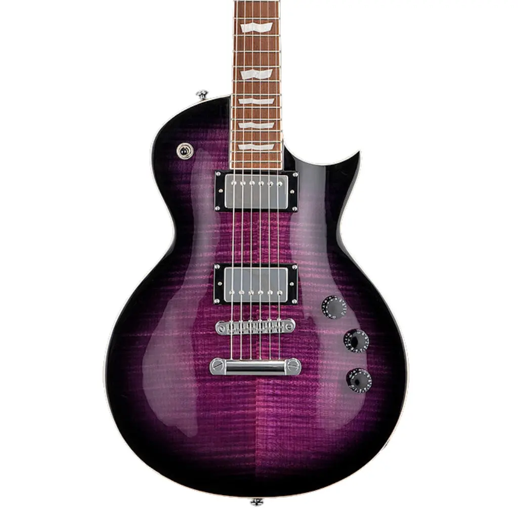 Esp Ltd Ec-256Fm Electric Guitar - See Thru Purple Burst 1