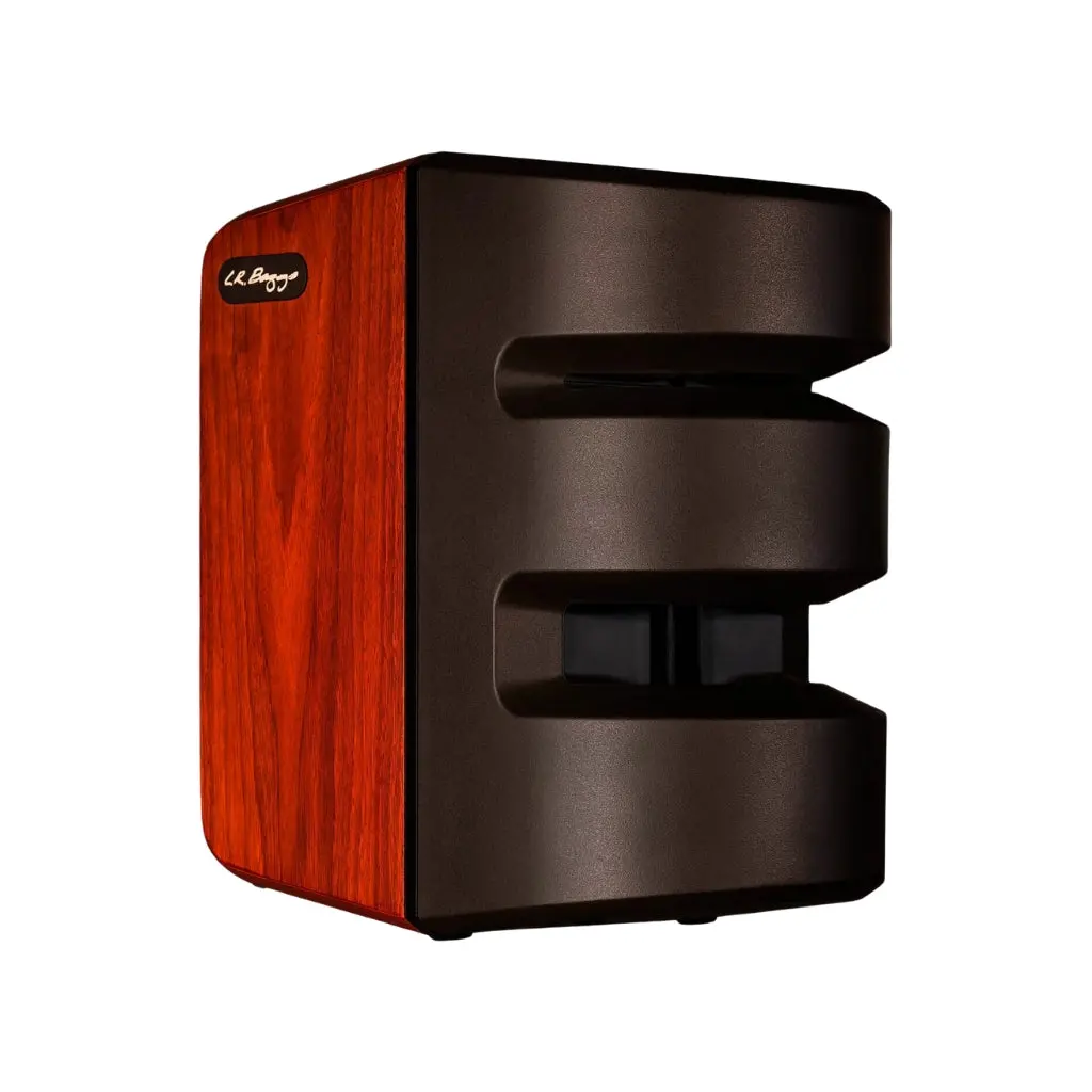 Lr Baggs Synapse Personal Pa System 1