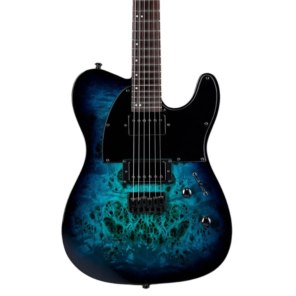 Esp Ltd Te-200Dx Electric Guitar - Blue Burst 1
