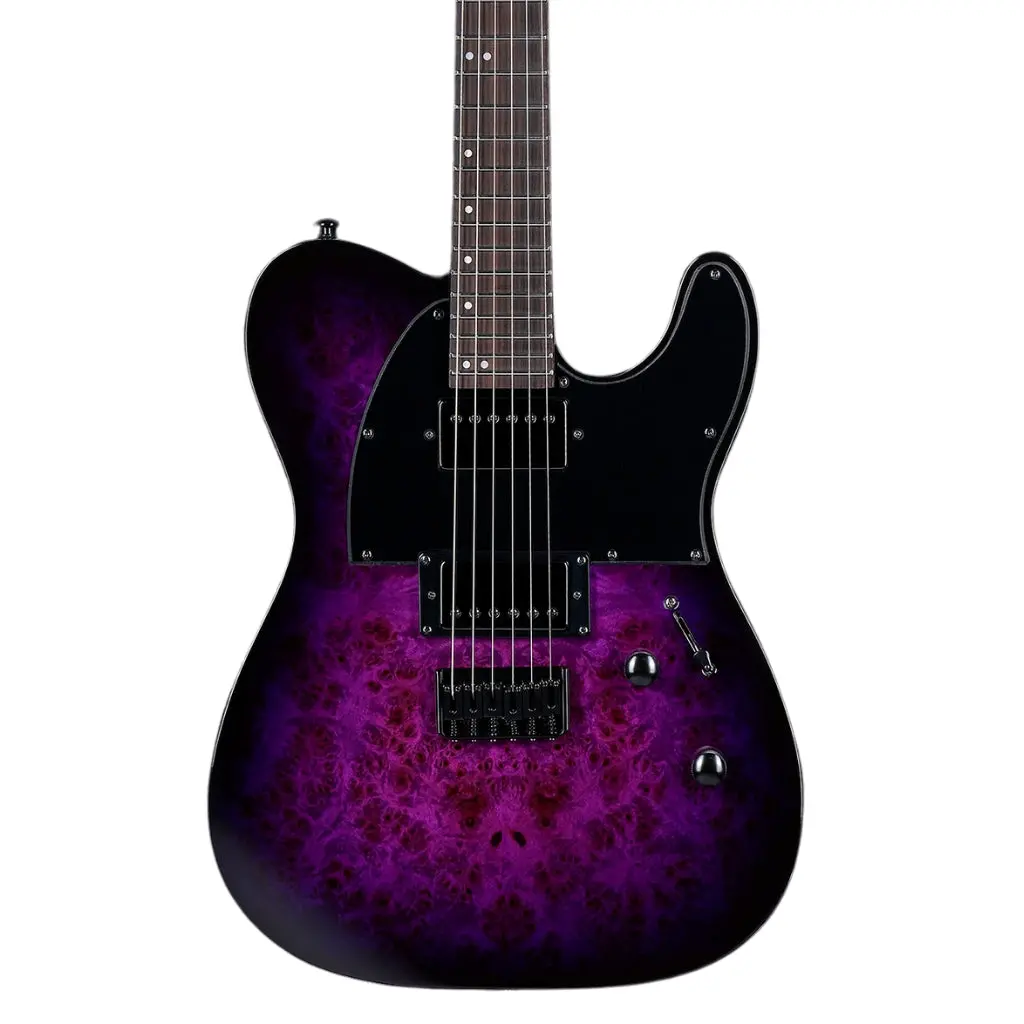 Esp Ltd Te-200Dx Electric Guitar - Purple Burst 1