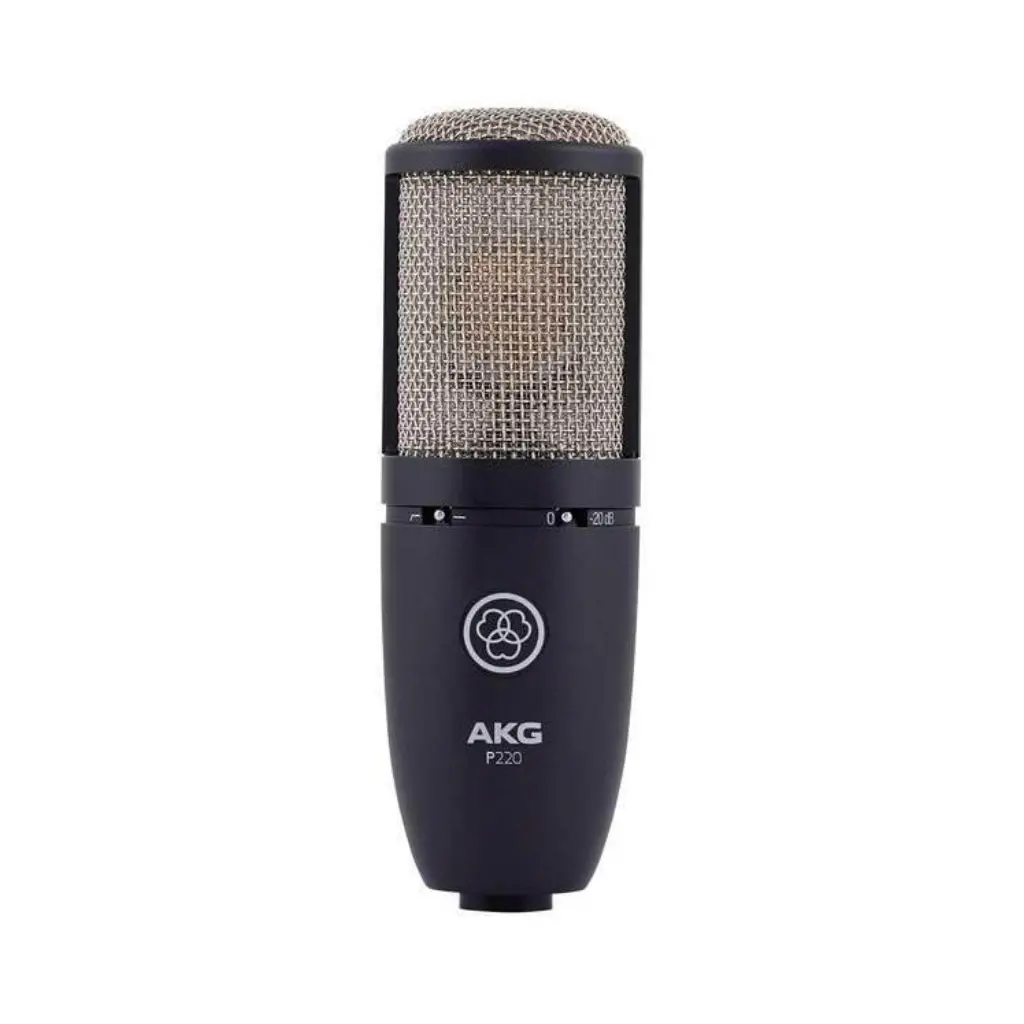 Akg P220 Large Diaphragm True Condenser Mic 1