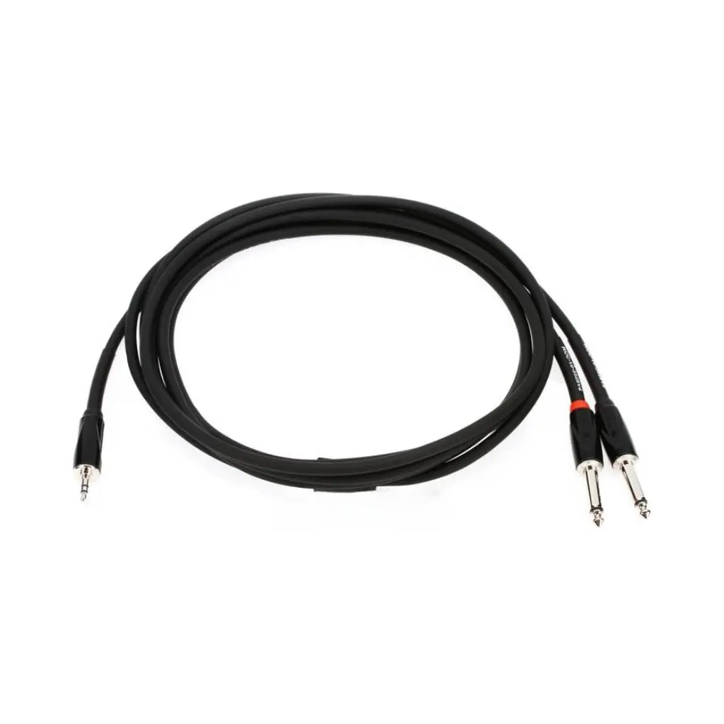 Roland Rcc-10-3528V2 1/8-Inch Trs To Two 1/4-Inch Black Series Interconnect Cable 10Ft 1