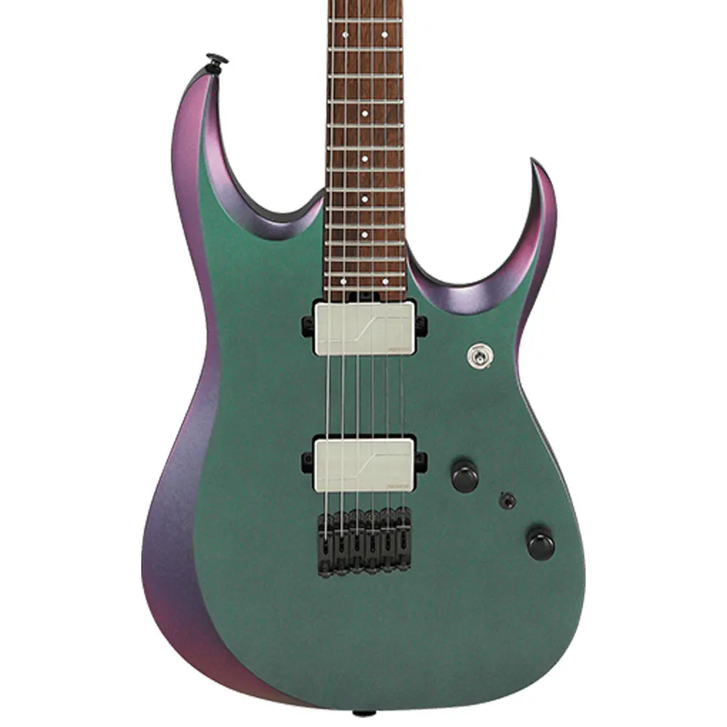 Ibanez Rgd3121 Prestige Electric Guitar With Case - Polar Lights Flat 1