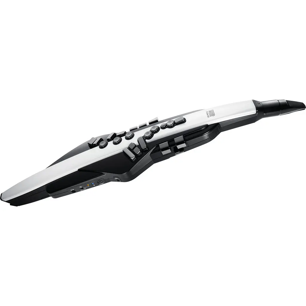 Roland Ae20 Aerophone 1