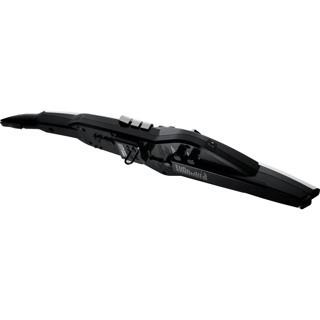 Roland Ae20 Aerophone 2