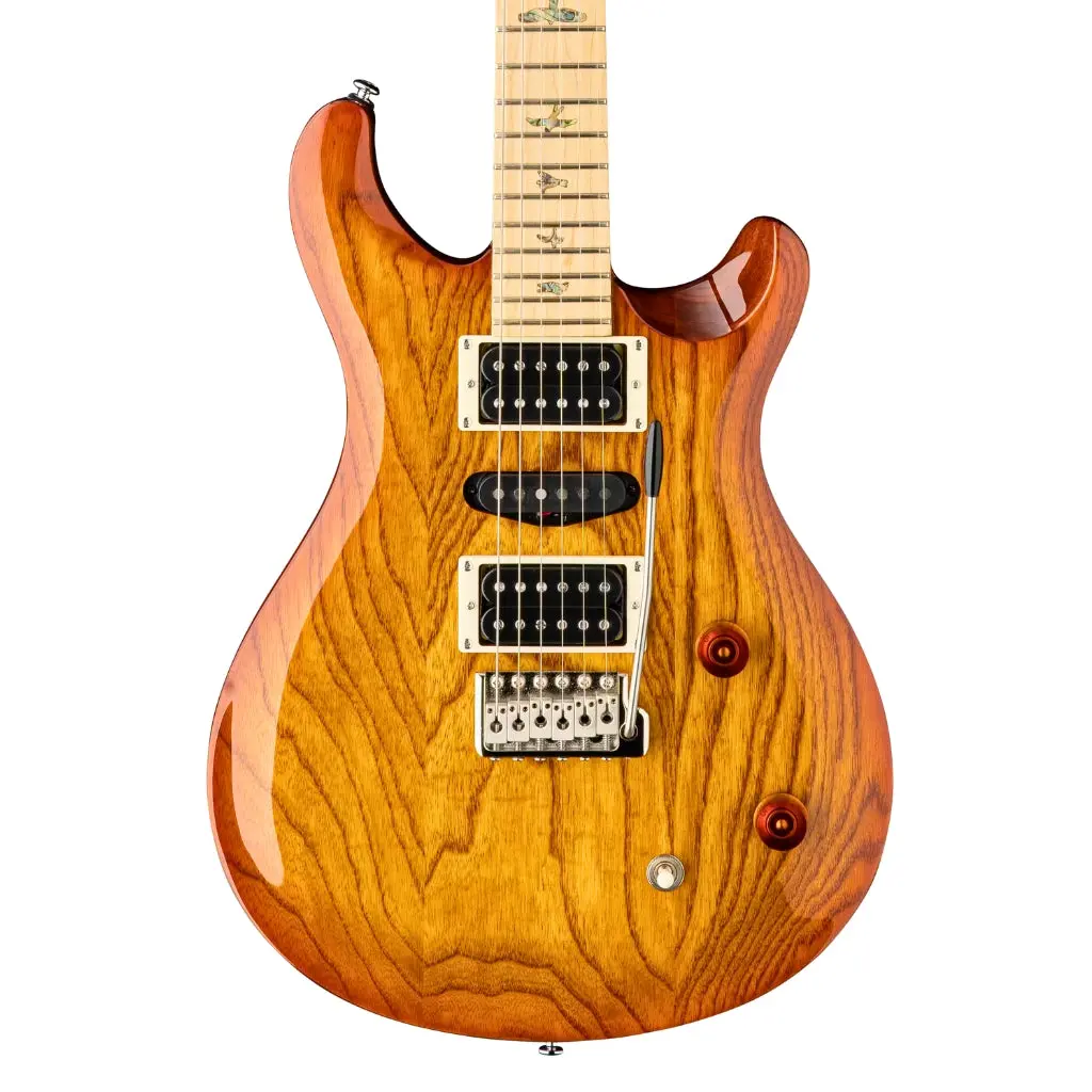 Prs Se Swamp Ash Special - Vintage Sunburst 1
