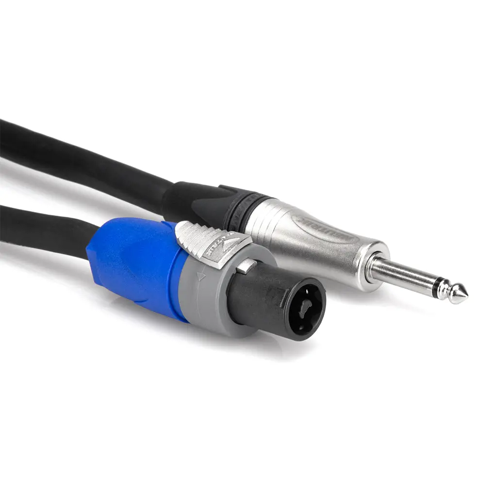 Hosa Technology Spk Cbl Spkn-1/4 Ts 100F 1