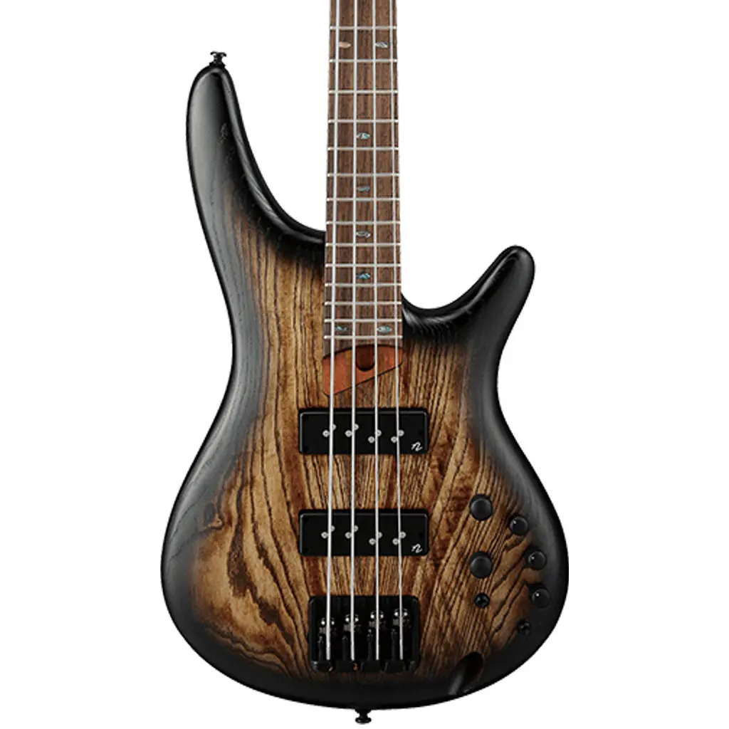 Ibanez - Sr600e Electric 4-String Bass - Antique Brown Stained Burst 1