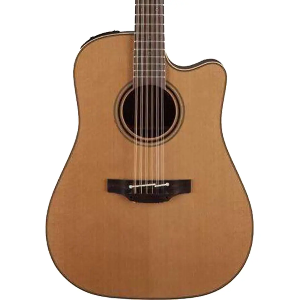 Takamine P3dc-12 Dreadnought Acoustic Guitar 12 String 1
