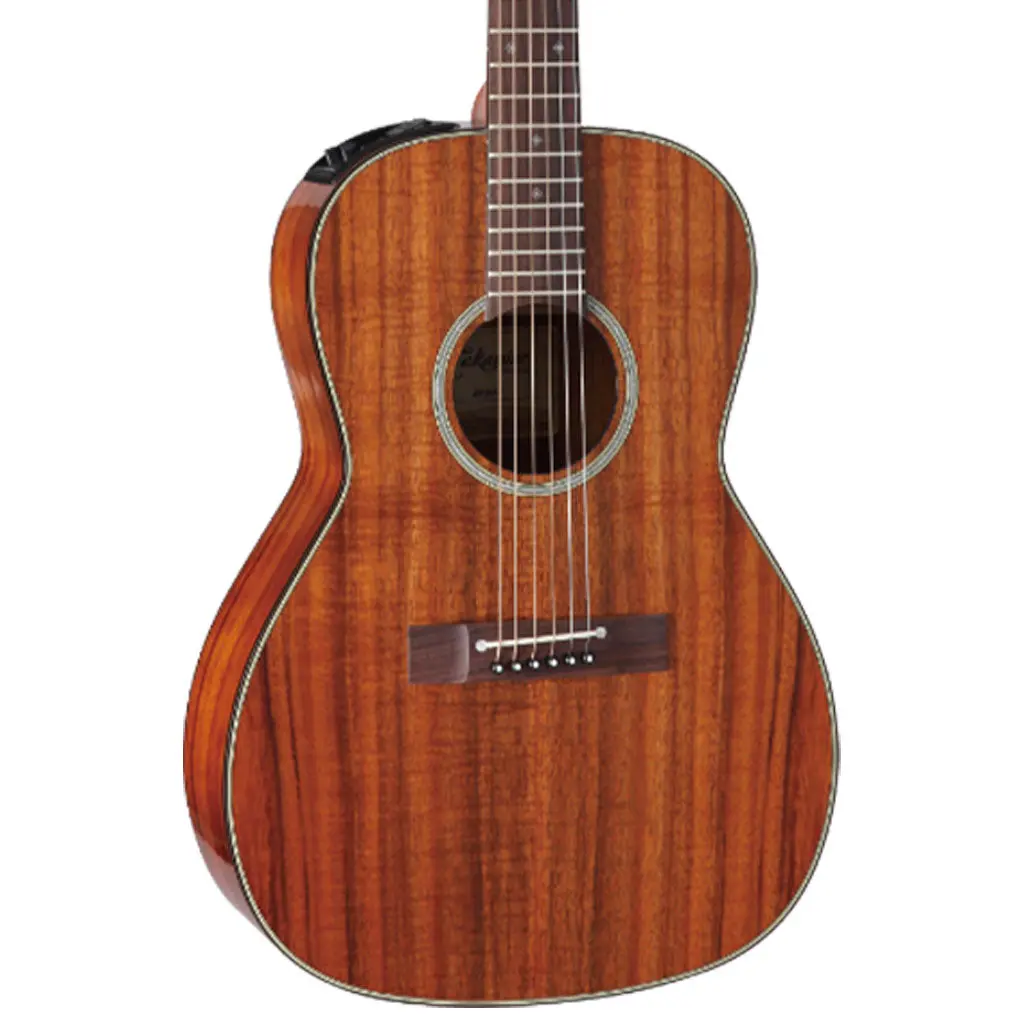 Takamine Legacy Series New Yorker 1