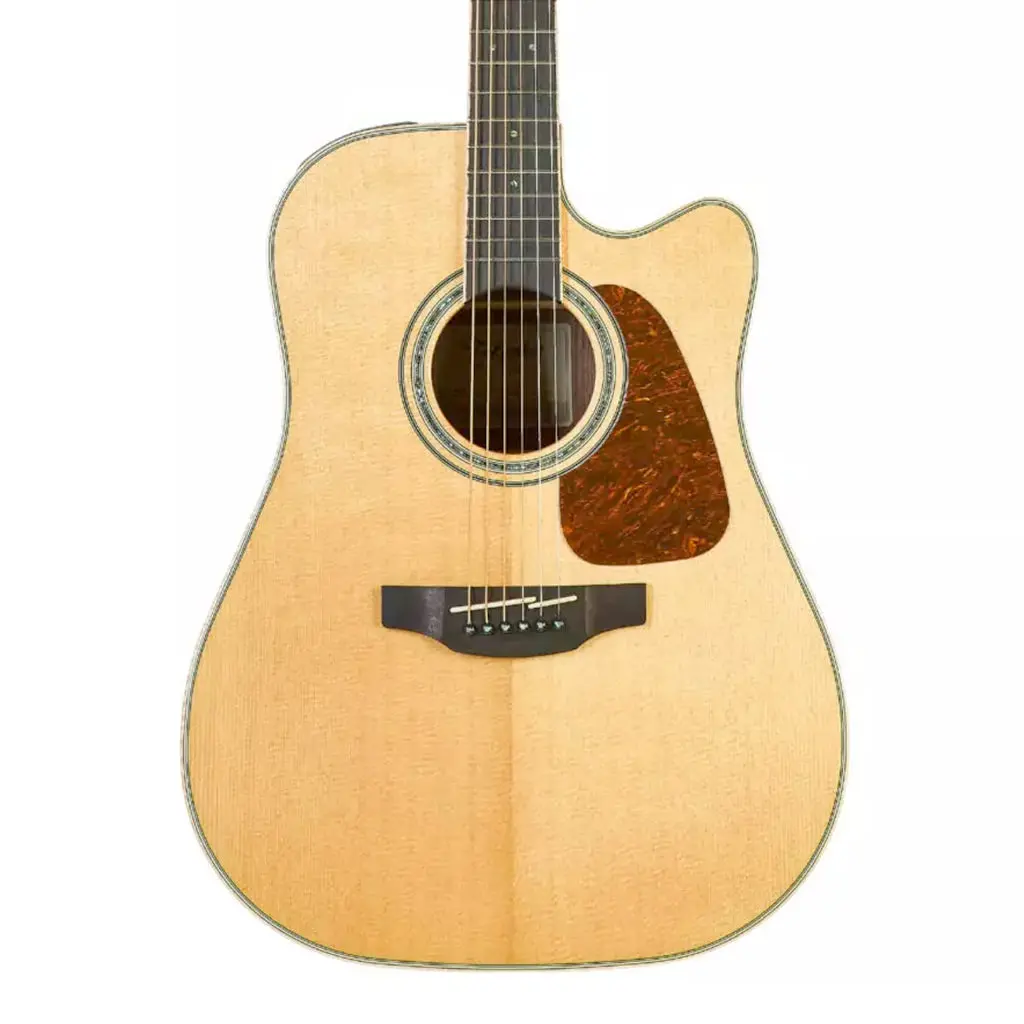 Takamine Tgd90cemdnat Acoustic Guitar 1