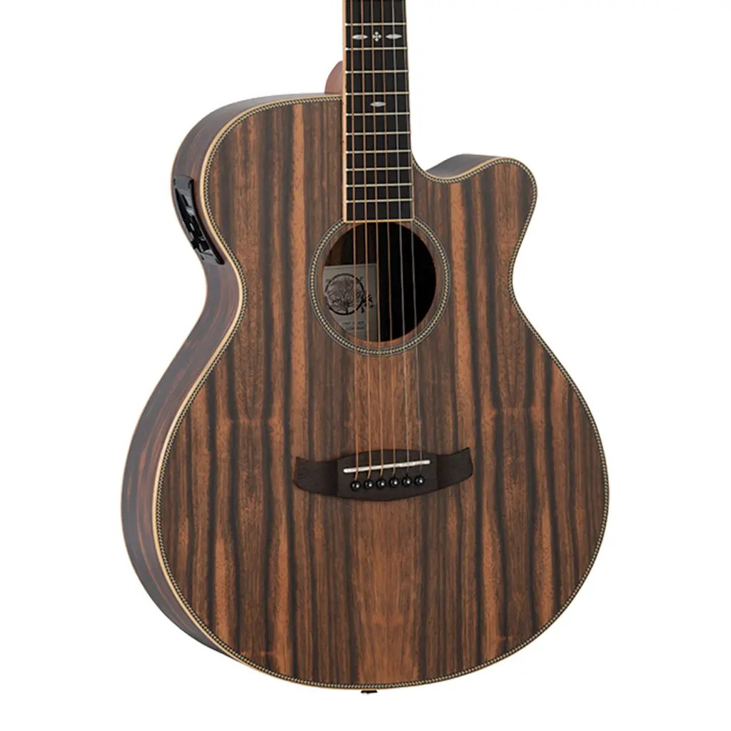 Tanglewood Tru4-Ce-Ae Reunion Pro Solid Top All Ebony Super Folk 1