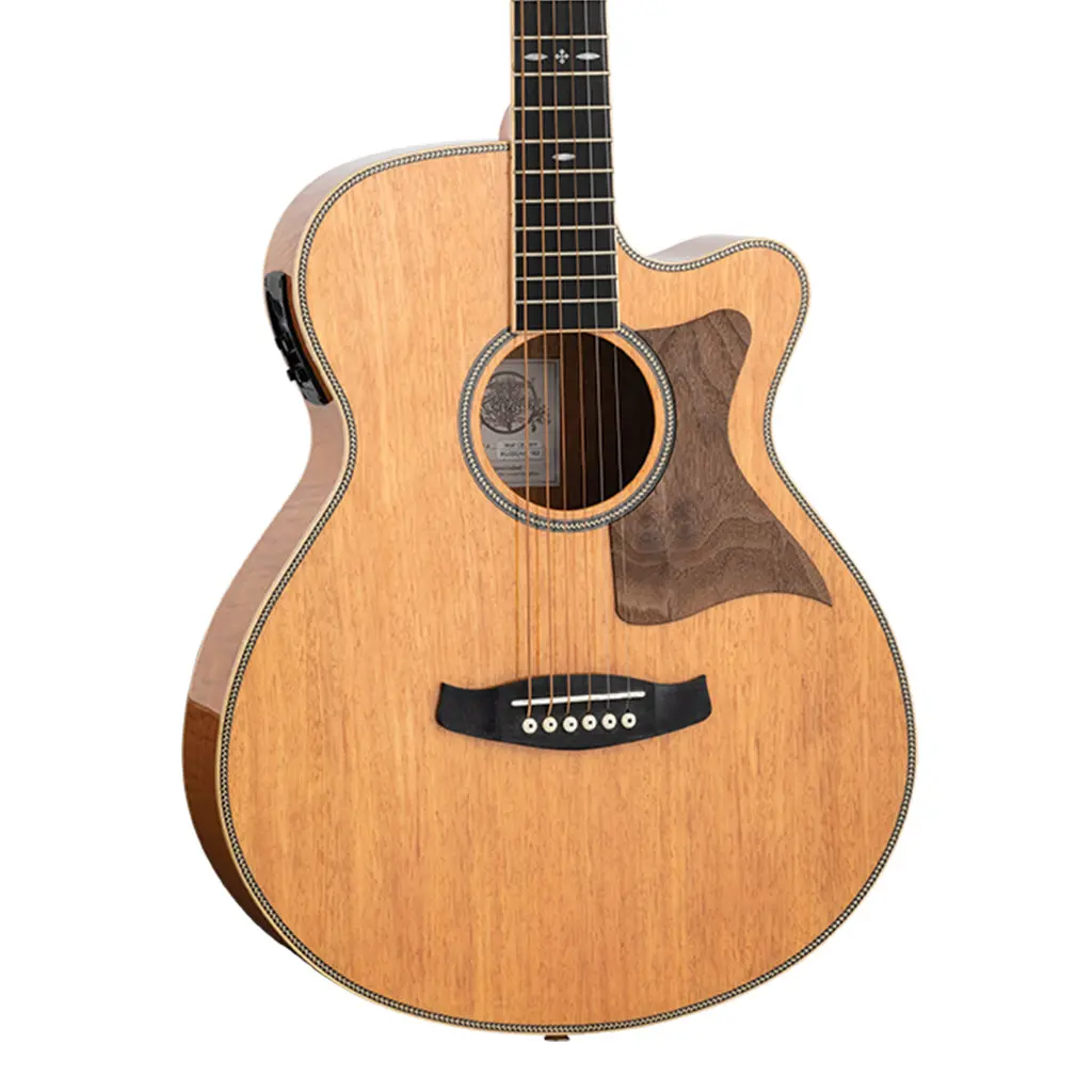 Tanglewood Reunion Pro Sf C/E Flamed Mahogany Solid Spruce Top 1